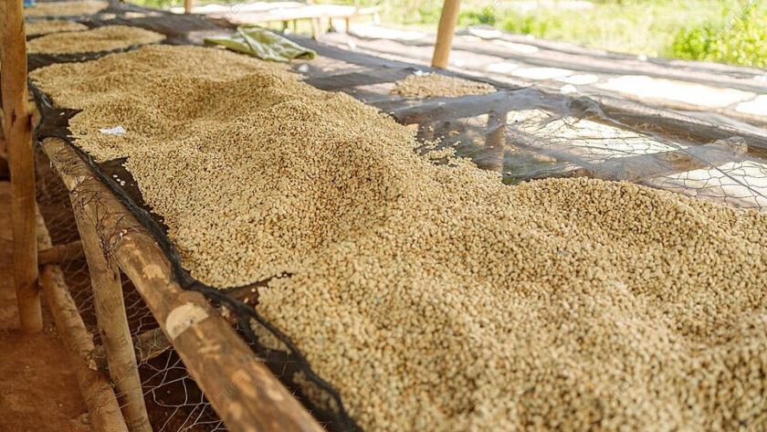 Pengering alami tanpa bahan bakar