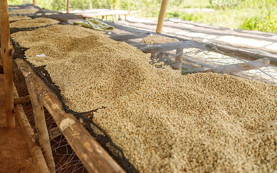 Pengering alami tanpa bahan bakar