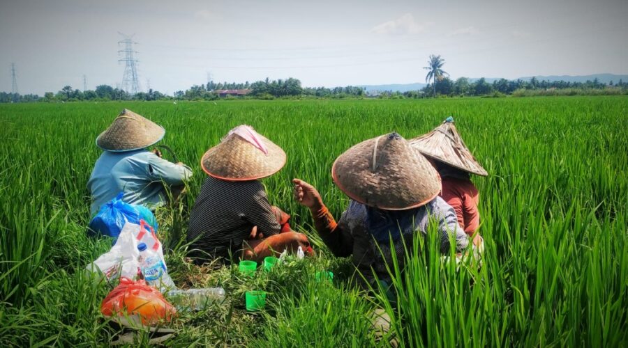 Peningkatan Nilai Tambah Produk Pertanian