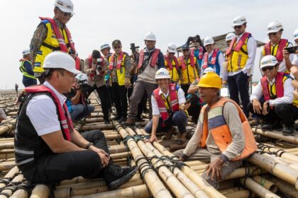 Manfaat Bambu untuk Proyek