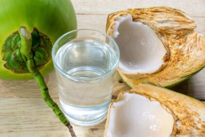manfaat air kelapa muda