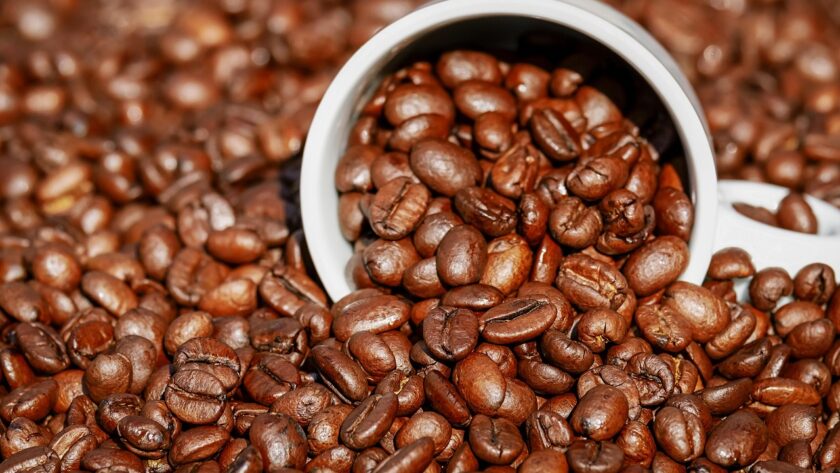 Biji Kopi Terenak di Indonesia