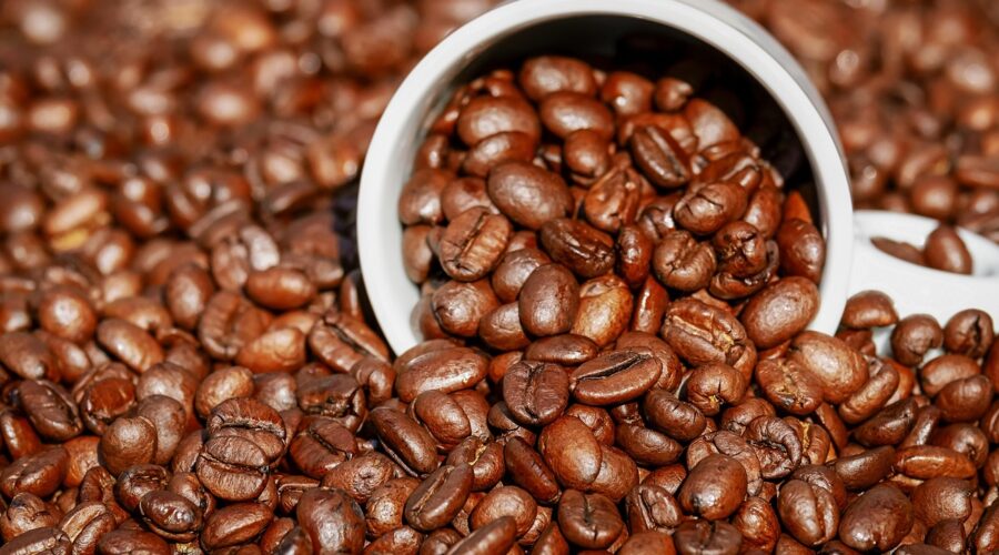 Biji Kopi Terenak di Indonesia