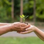 upaya pelestarian lingkungan dari plastik
