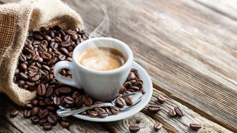 perbedaan rasa arabika vs robusta