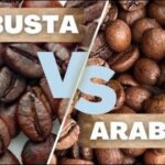 arabika vs robusta rasa