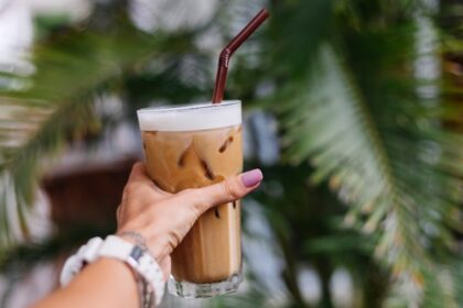 Kopi Nikmat Oven Pengering