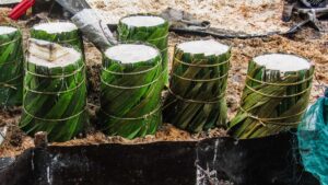 Peralatan Pengolahan Sagu Otomatis untuk Produksi Efisien