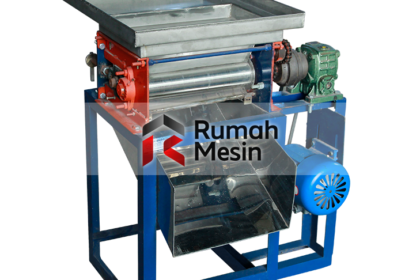 potensi bisnis mie rumahan