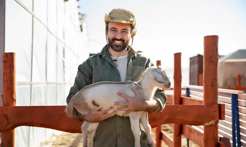 tips sukses ternak kambing lokal