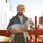 tips sukses ternak kambing lokal