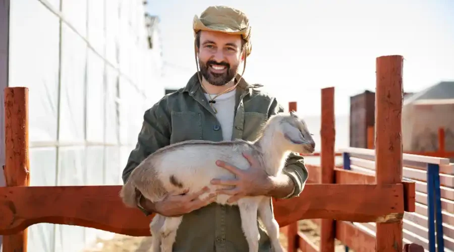 tips sukses ternak kambing lokal