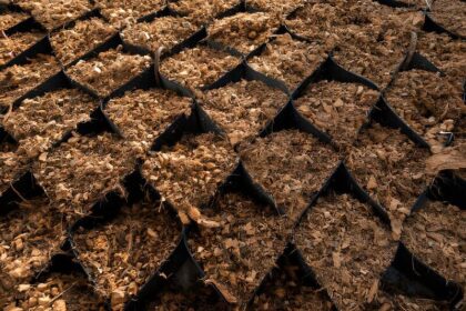 Sabut Kelapa sebagai Solusi Pertanian