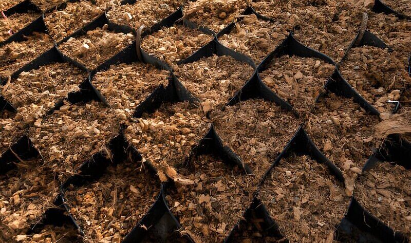 Sabut Kelapa sebagai Solusi Pertanian