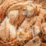 Proses Pencucian Serat Sabut Kelapa