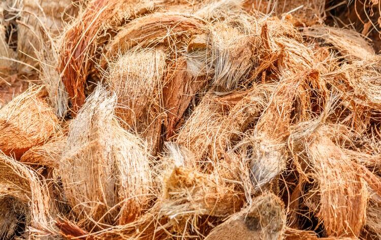 Proses Pencucian Serat Sabut Kelapa