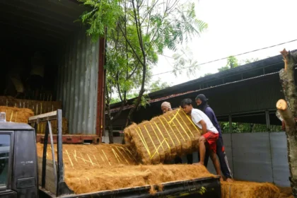 industri pengolahan sabut kelapa