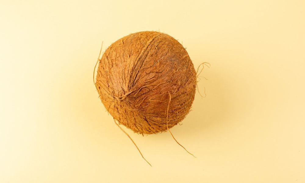 Kegunaan Mesin Cocofiber dan Cocopeat