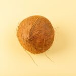 Kegunaan Mesin Cocofiber dan Cocopeat