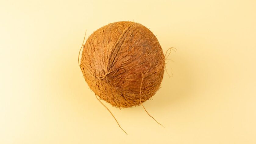 Kegunaan Mesin Cocofiber dan Cocopeat