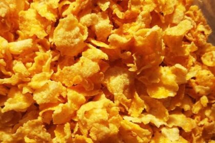 Solusi Praktis Membuat Emping Jagung Untuk Usaha Rumahan