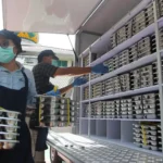 peralatan makan siang gratis