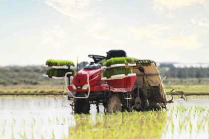 mesin tanam padi sebagai investasi pertanian