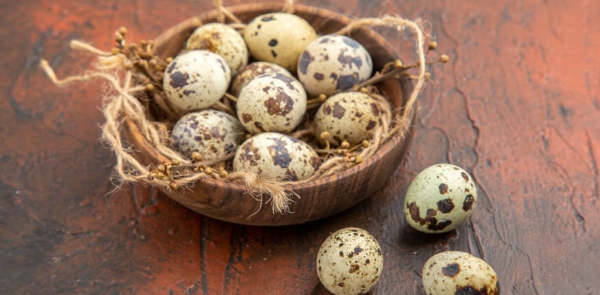 cara mudah kupas kulit telur puyuh