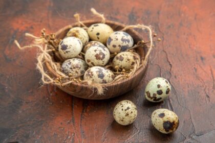 cara mudah kupas kulit telur puyuh