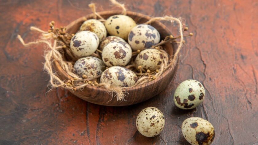 cara mudah kupas kulit telur puyuh