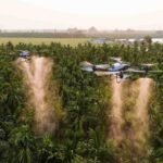 Penyemprotan Tanaman untuk Perkebunan Luas