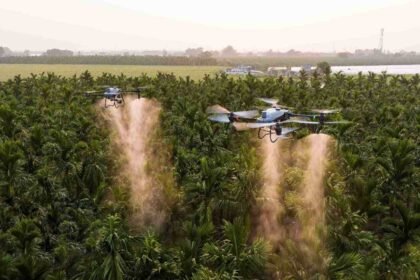 Penyemprotan Tanaman untuk Perkebunan Luas