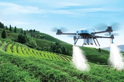 Strategi Perawatan Tanaman Skala Besar