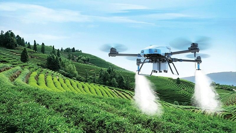 Strategi Perawatan Tanaman Skala Besar