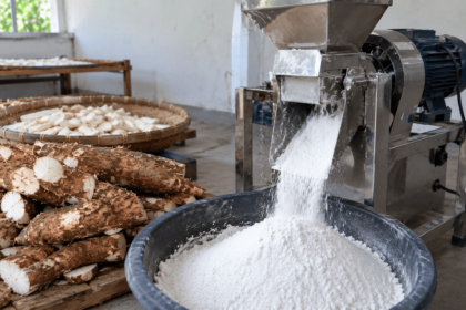 tepung tapioka dibuat dari apa