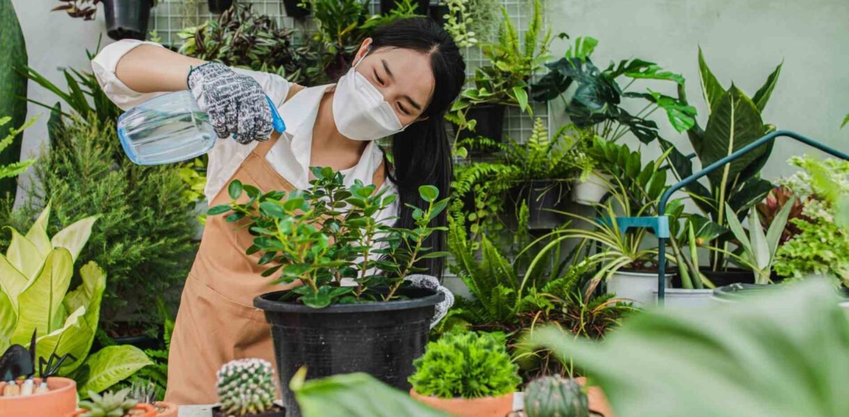 tips merawat tanaman di musim kemarau