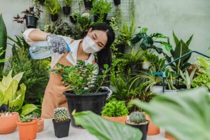 tips merawat tanaman di musim kemarau