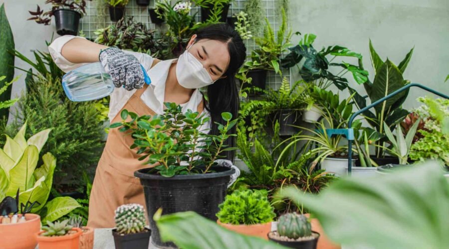 tips merawat tanaman di musim kemarau