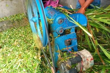 cara meningkatkan efisiensi pencacahan rumput