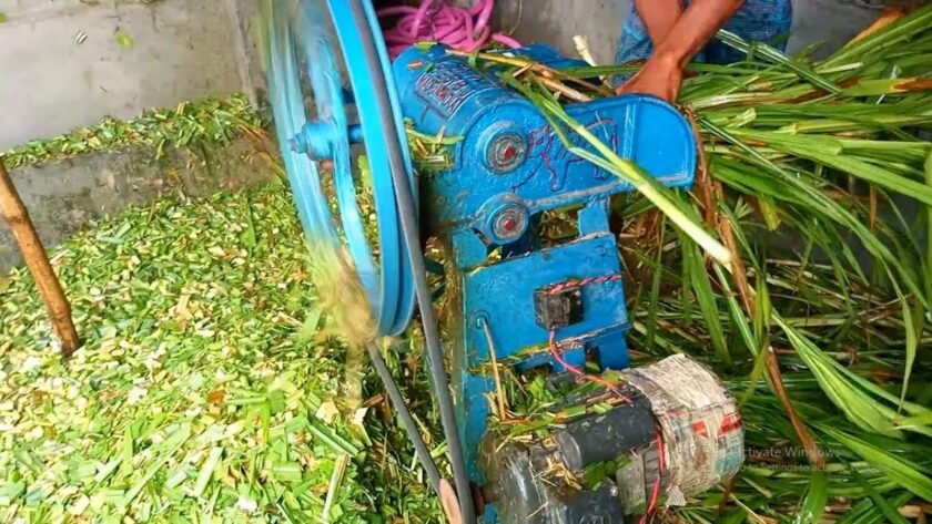 cara meningkatkan efisiensi pencacahan rumput