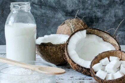 pembuatan santan kelapa