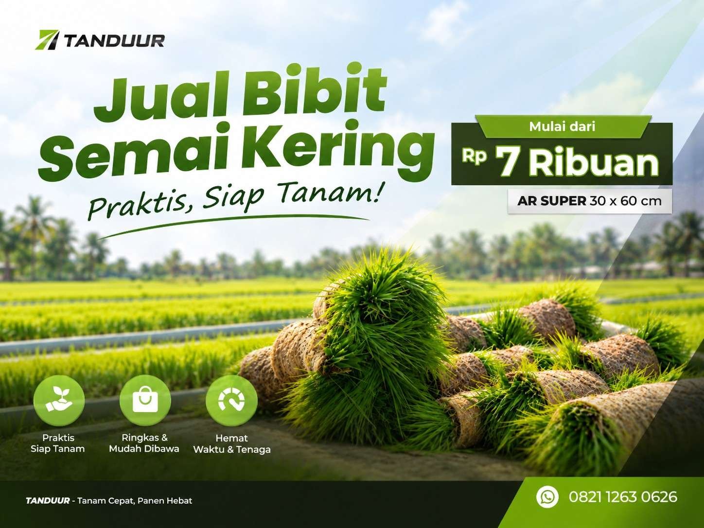 cara membedakan benih padi bernas dan hampa