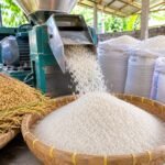 proses menghasilkan beras putih bersih