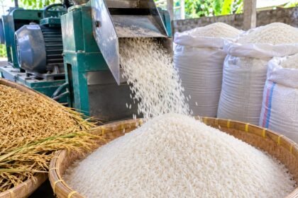 proses menghasilkan beras putih bersih