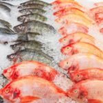 suhu penyimpanan ikan yang tepat