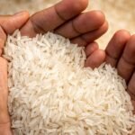 cara membuat beras putih bersih mengilap