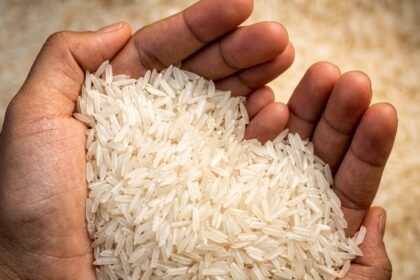 cara membuat beras putih bersih mengilap