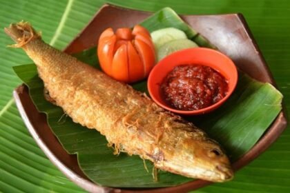cara mengolah ikan duri lunak