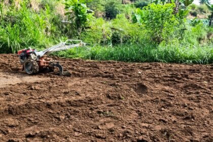 persiapan lahan untuk musim tanam