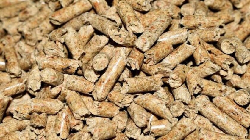 cara menentukan ukuran partikel pakan
